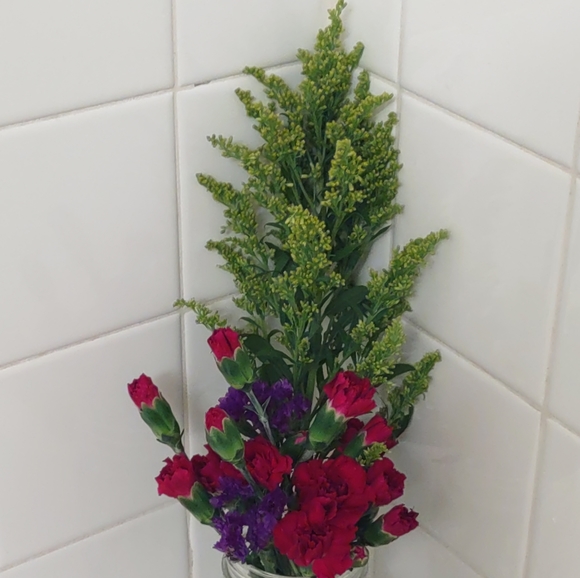 Meet your Posher, Danielle - Picture 5 of 11